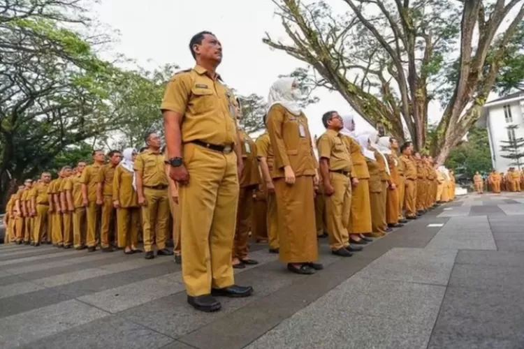 15 Contoh Soal Untuk Tenaga Honorer Yang Sedang bersiap diangkan menjadi PPPK